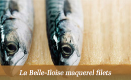 La Belle-Iloise maquerels