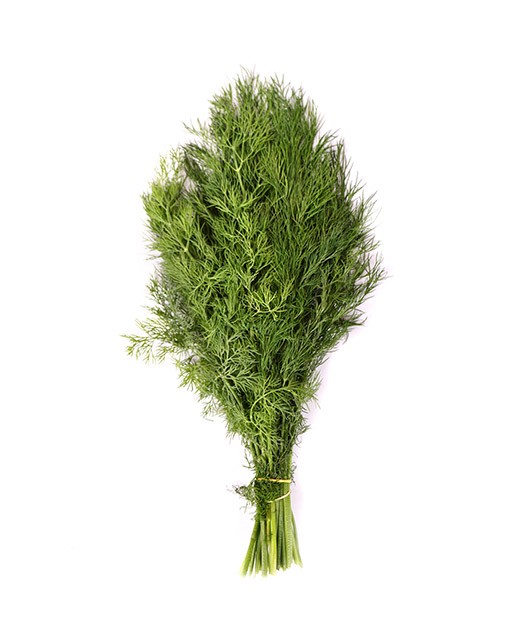 Dill - Edélices Primeur