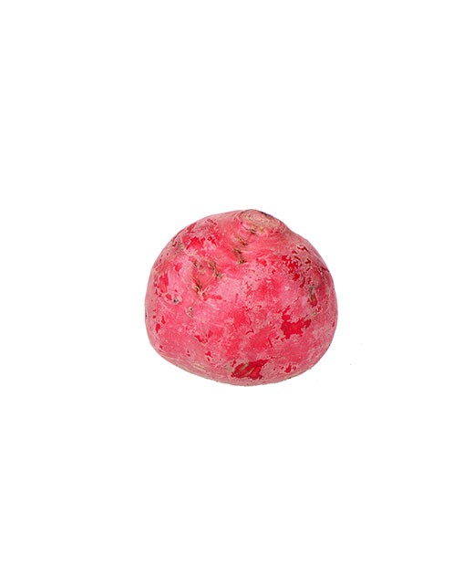 Chioggia beet - Edélices Primeur