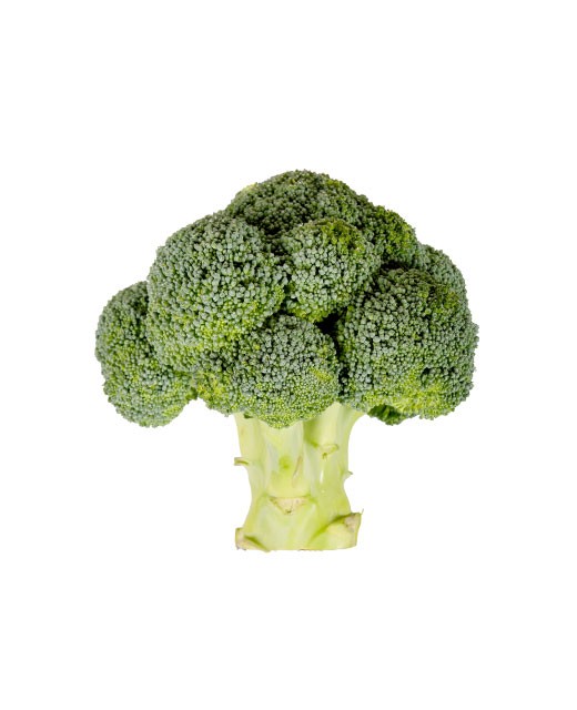 Broccoli - Edélices Primeur