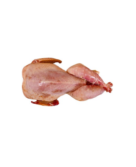 Quail - whole - Edélices Boucherie