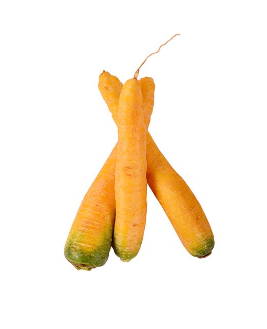 Yellow carrot - Edélices Primeur