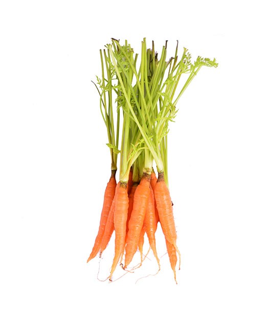 Small orange carrot - Edélices Primeur