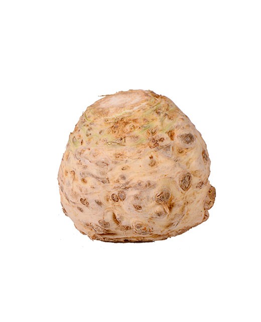 Celeriac - Edélices Primeur