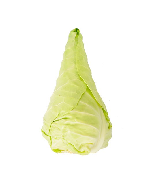 Pointed cabbage - Edélices Primeur
