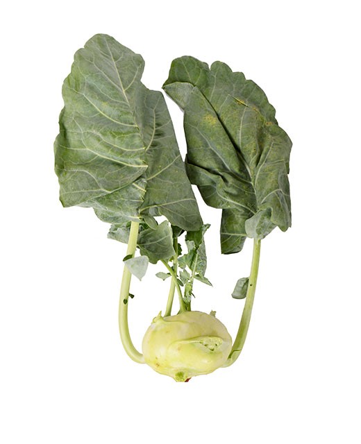 Kohlrabi - Edélices Primeur