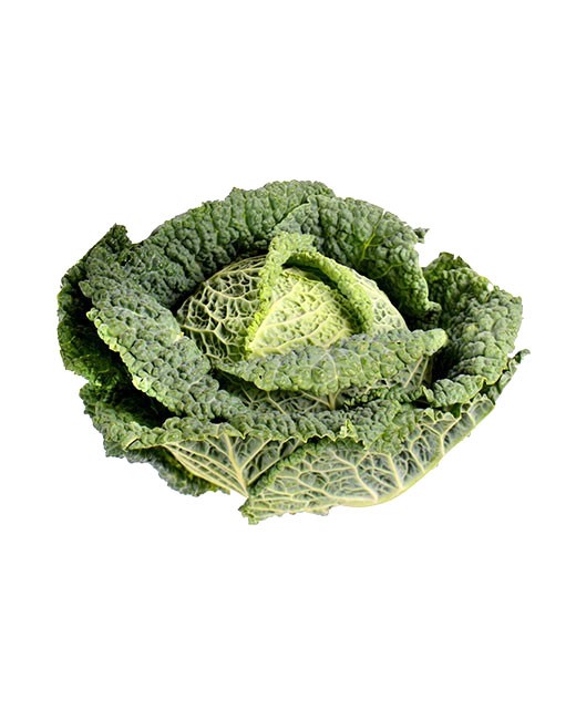 Savoy cabbage - Edélices Primeur