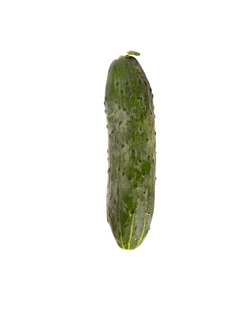 Noa cucumber - Edélices Primeur