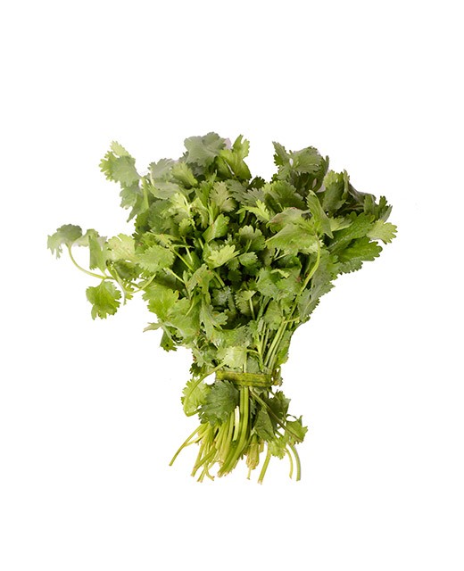 Coriander - Edélices Primeur