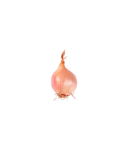 Round Shallot - Edélices Primeur