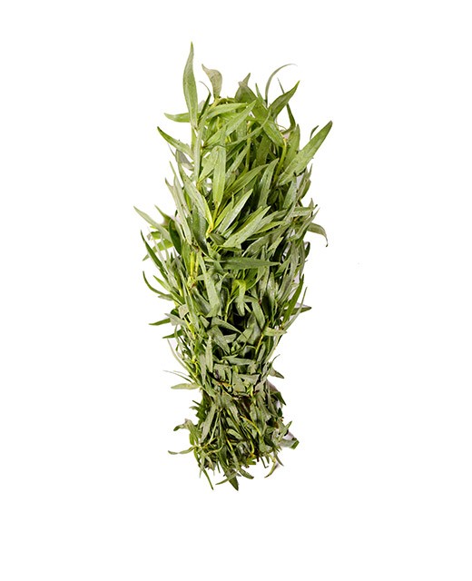 Tarragon - Edélices Primeur