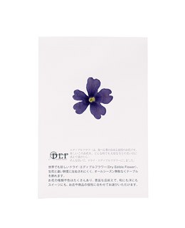 Dried blue verbena edible flowers - Neworks