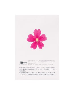 Dried pink verbena edible flowers - Neworks