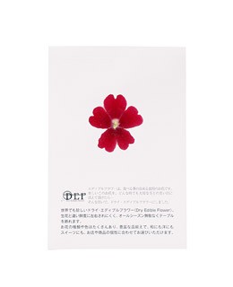 Dried red verbena edible flowers - Neworks