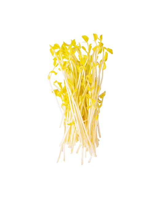 Green peas sprouts - Edélices Primeur