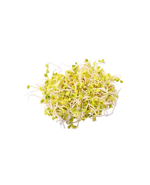 Soy sprouts - Edélices Primeur