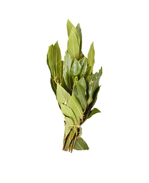 Laurel - Edélices Primeur