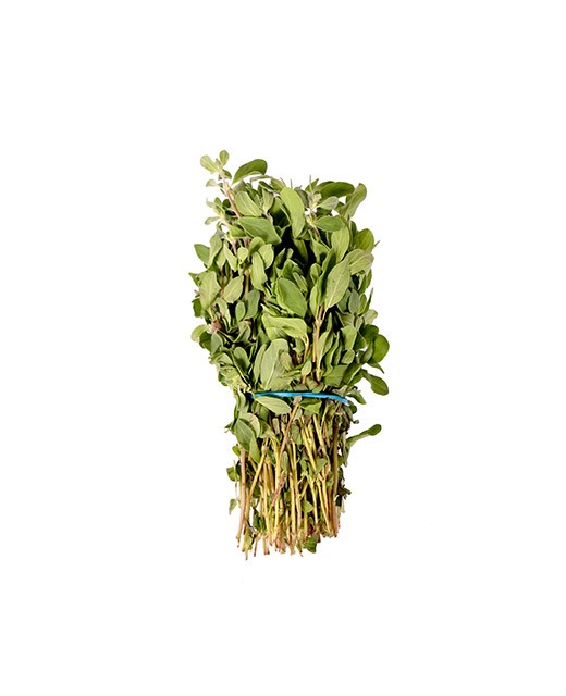 Marjoram - Edélices Primeur