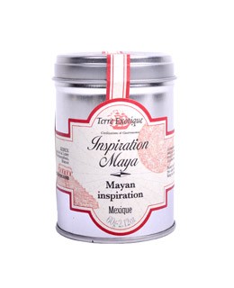 Maya spice mix - Terre Exotique