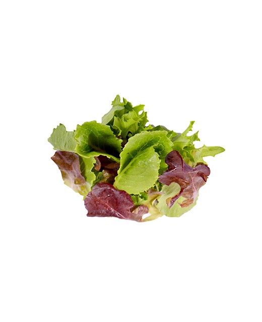 Mesclun shoots - Edélices Primeur