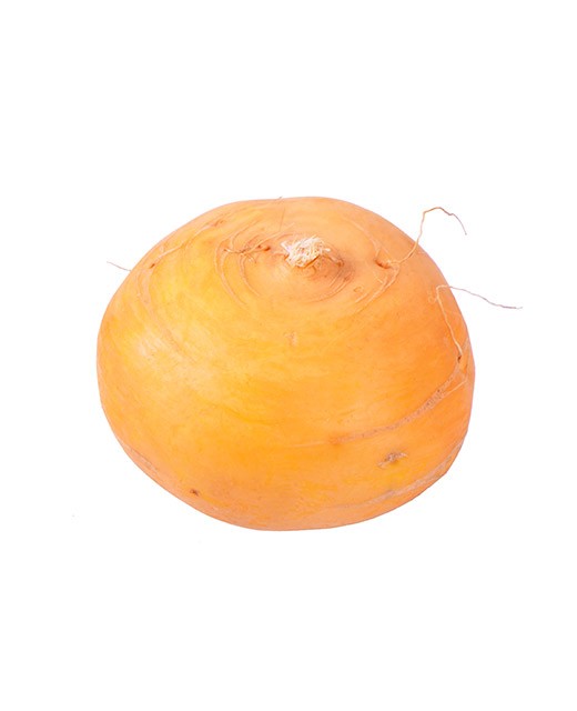 Turnip Golden Ball - Edélices Primeur