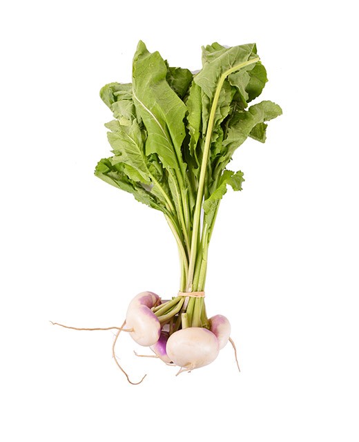 Mini turnip - Edélices Primeur