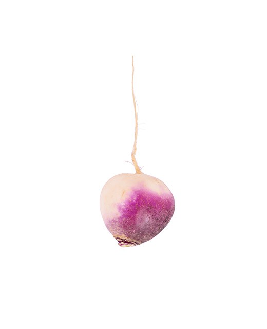 Turnip - Edélices Primeur