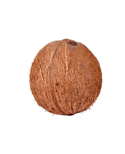 Coconut - Edélices Primeur