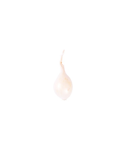Onion bell - Edélices Primeur