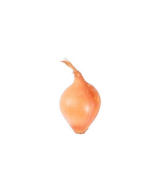Onion yellow bell - Edélices Primeur
