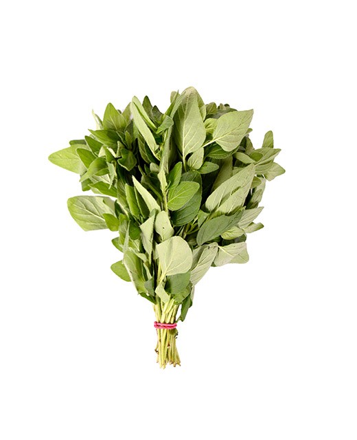 Oregano - Edélices Primeur