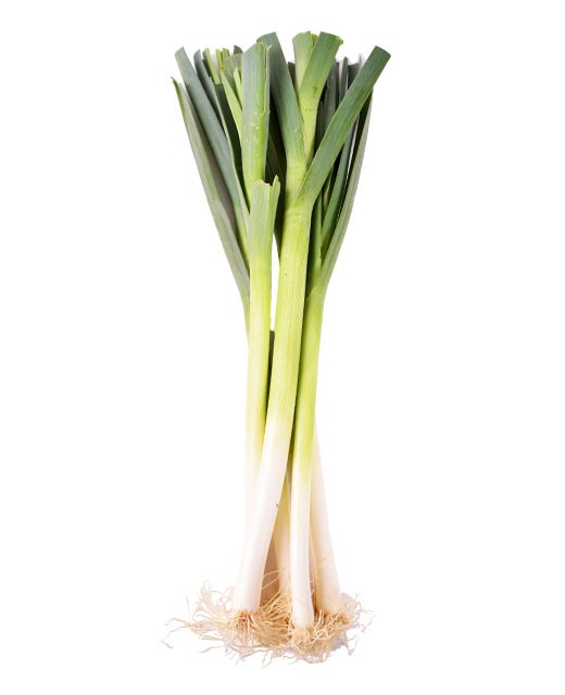 Pencil shaped leek - Edélices Primeur