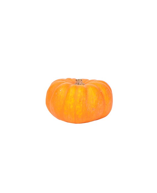 Little mini pumpkin Jack - Edélices Primeur