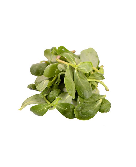Purslane - Edélices Primeur