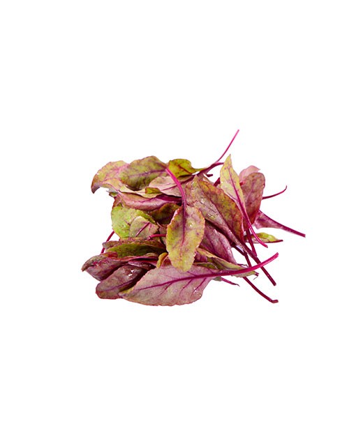 Beetroot leaves - Edélices Primeur