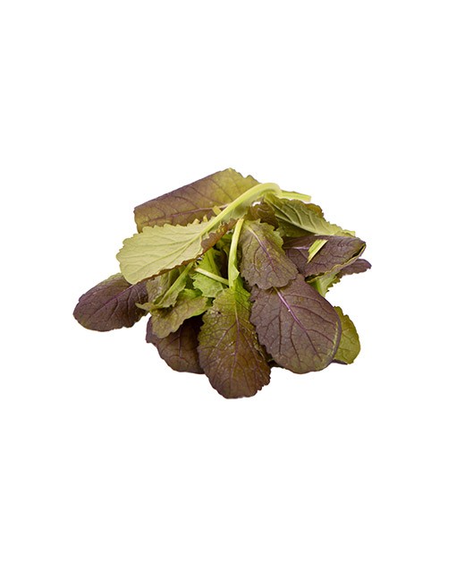 Mustard  leaves - Edélices Primeur