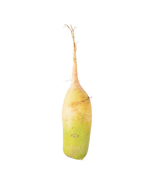 Radish green meat - Edélices Primeur