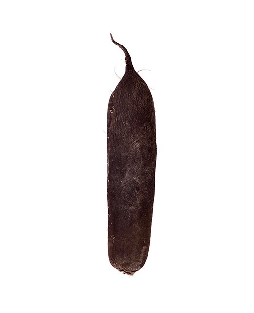 Black radish - Edélices Primeur