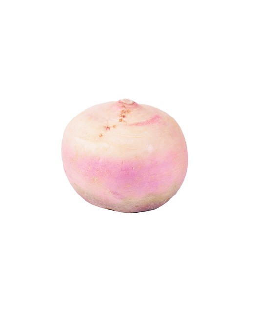 Radish red meat - Edélices Primeur