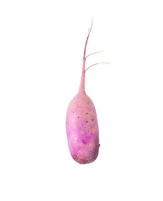 Radish long pink - Edélices Primeur