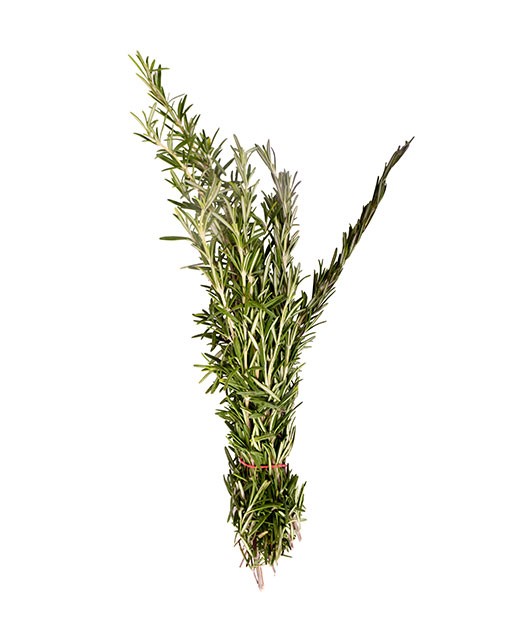 Rosemary - Edélices Primeur