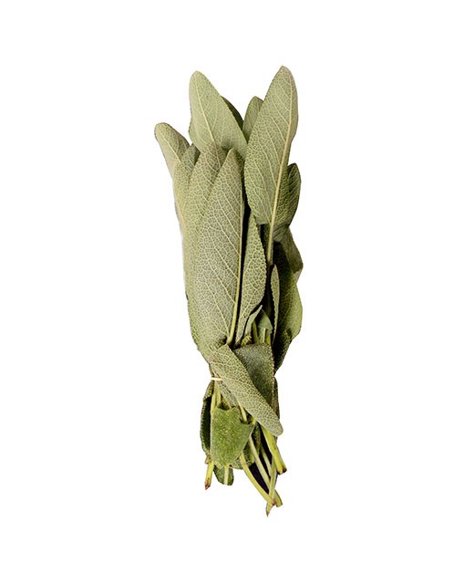 Sage - Edélices Primeur
