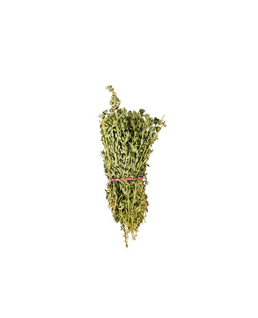 Lemon thyme - Edélices Primeur