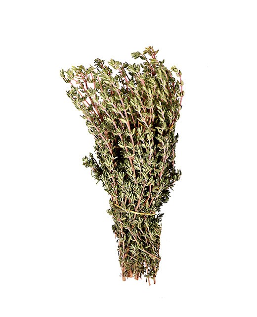 Thyme - Edélices Primeur