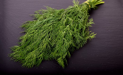 Dill - Edélices Primeur