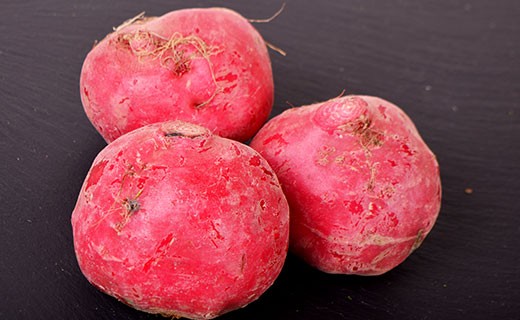 Chioggia beet - Edélices Primeur