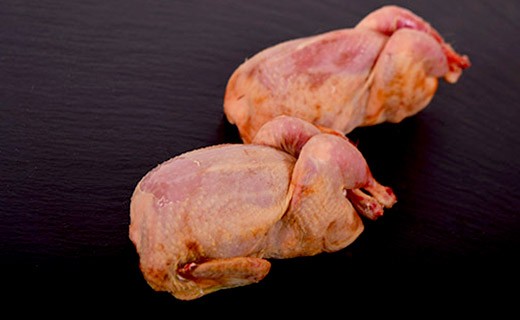 Quail - whole - Edélices Boucherie