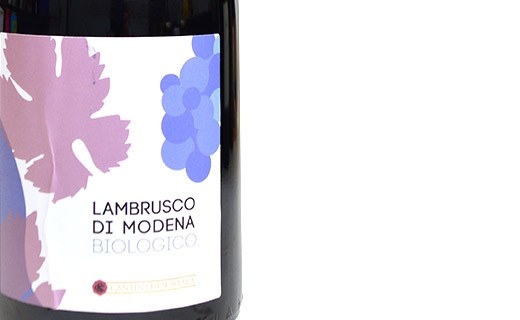 Lambrusco di modena - organic sparkling red wine - Cantinadi di Carpi e Sorbara