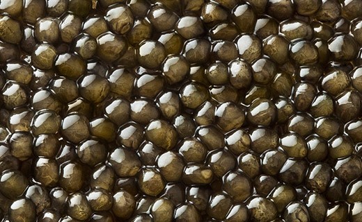 Osetra Gold Caviar 125g - Kaviari