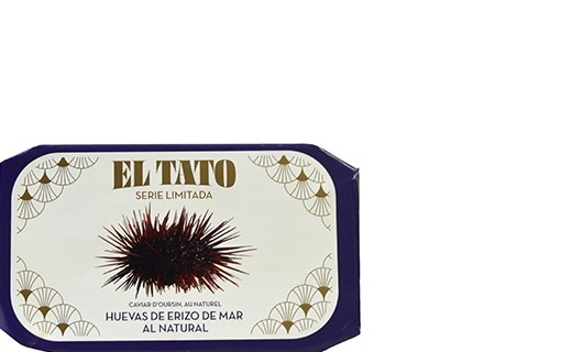 Sea urchin coral - Calle el Tato